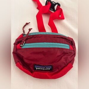 Patagonia Mini Travel Belt Bag
